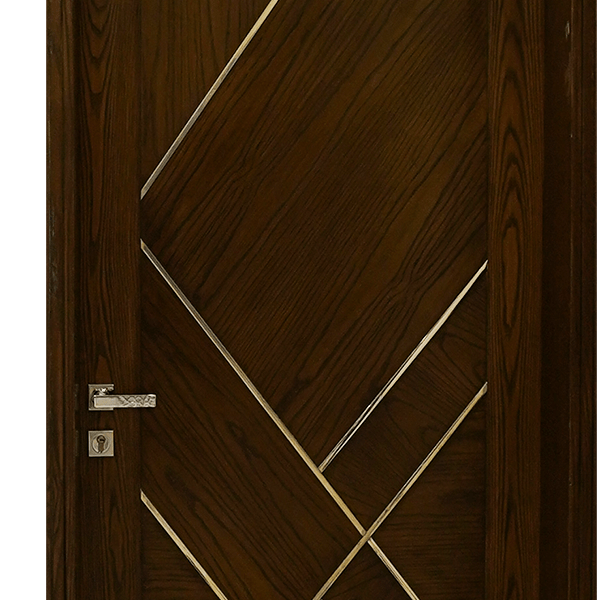 Sleek Entry Modern Door