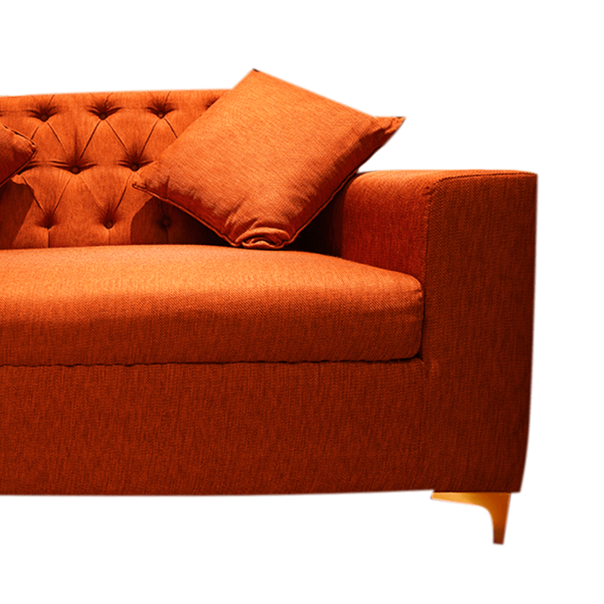 Burnt Orange Bliss 2-Seater Sofa