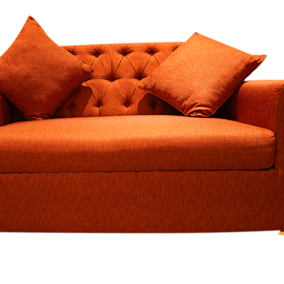 Burnt Orange Bliss 2-Seater Sofa