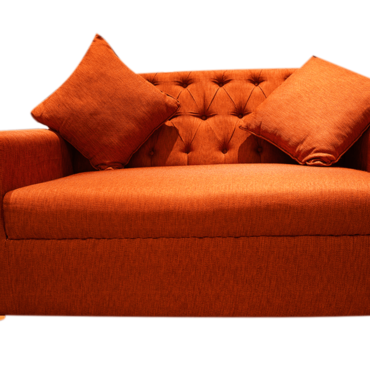 Burnt Orange Bliss 2-Seater Sofa