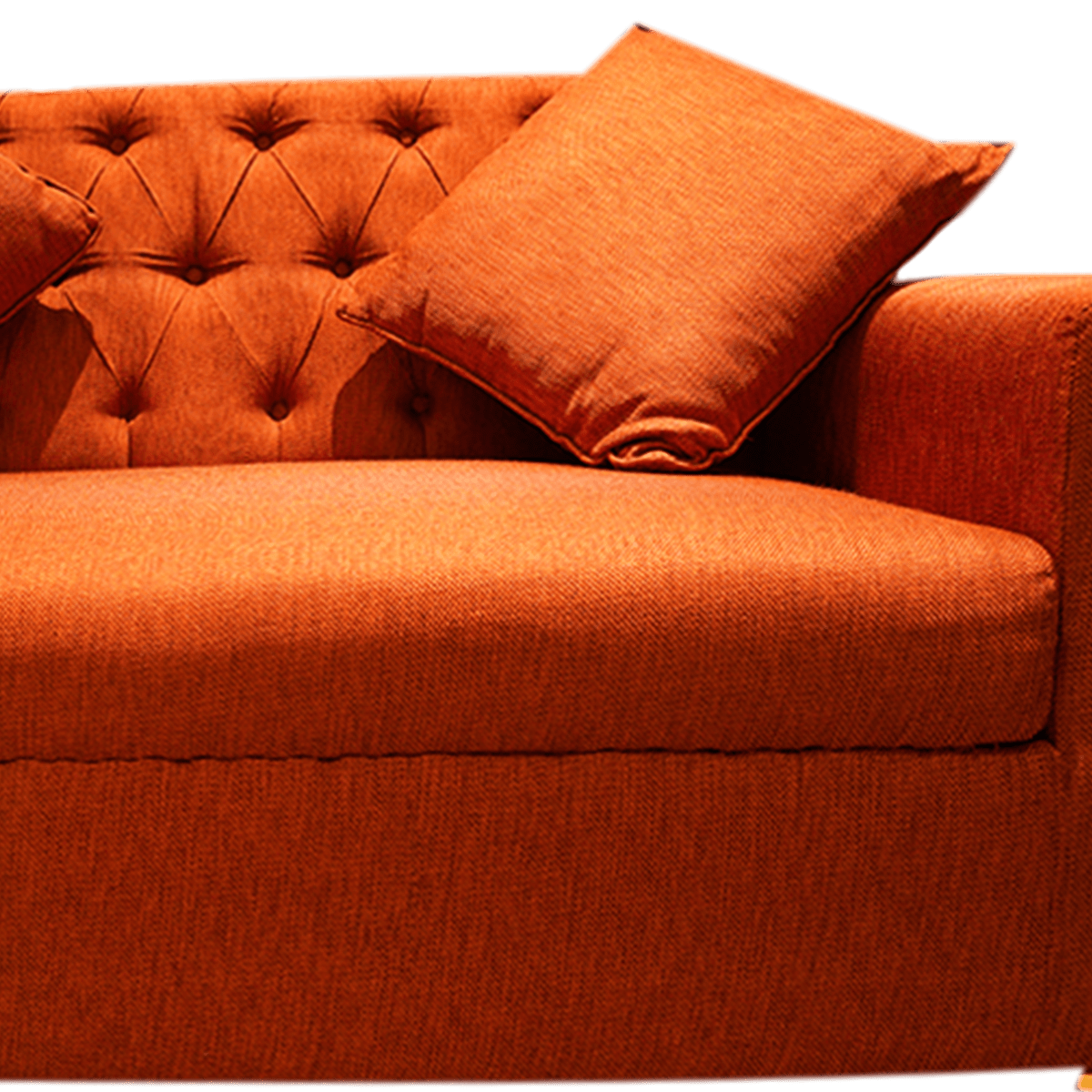 Burnt Orange Bliss 2-Seater Sofa